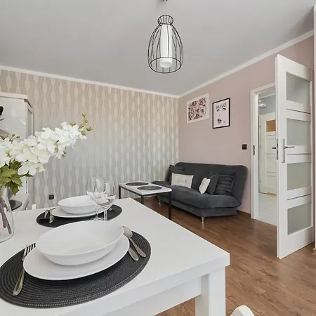 Comfortable 50 M2 With 1 Bedroom In By Renters
